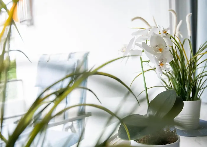 Strandschloss 29 Lejlighed *